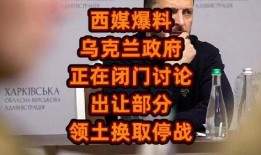 西媒最新爆料,揭秘国际风云变幻背后的真相