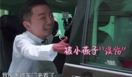 苏有朋八卦爆料视频大全,视频大全带你探秘明星私生活